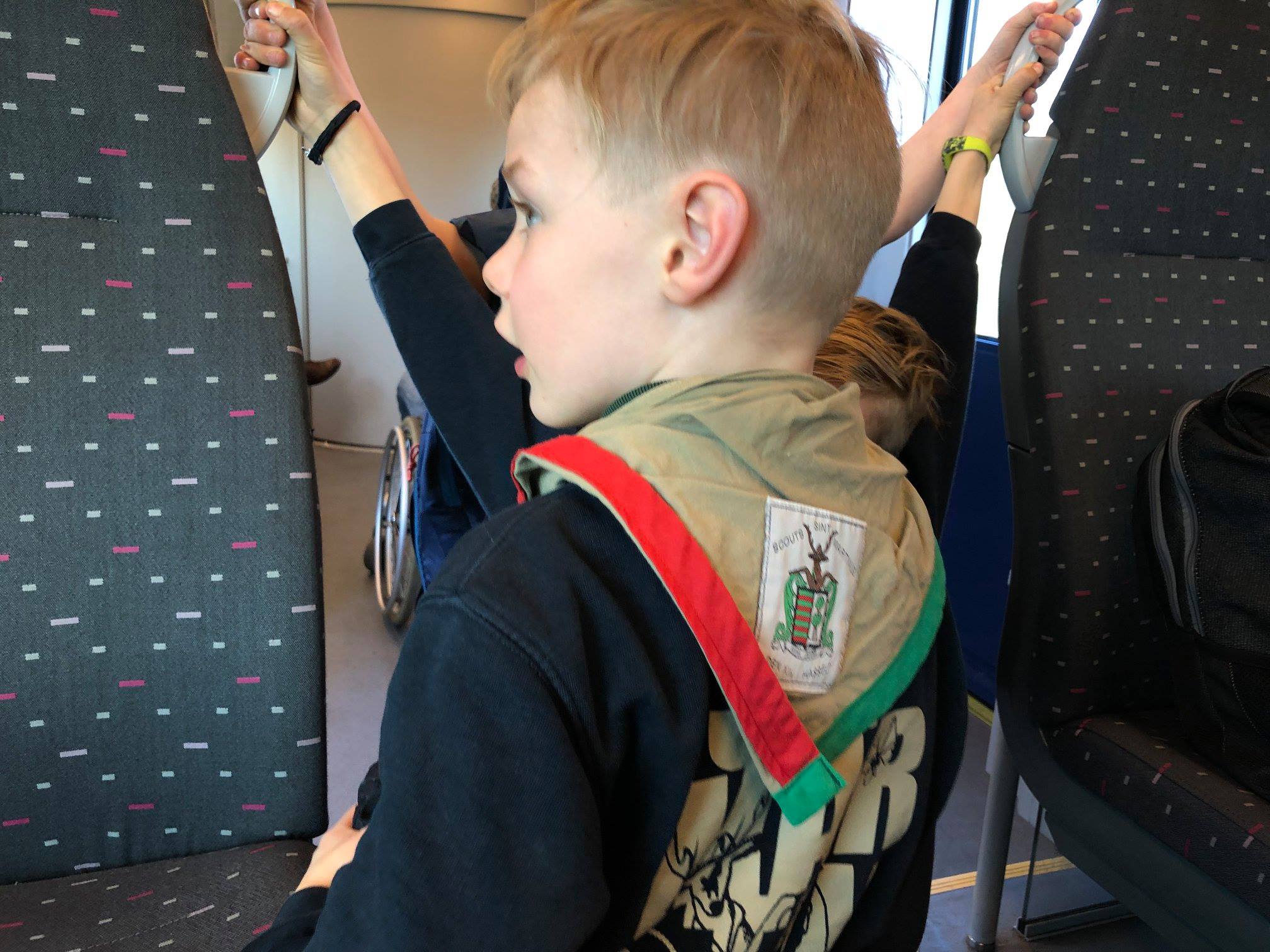 Sint-Martinus den XIIde - Zoo Antwerpen Kapoenen